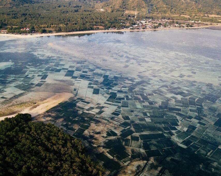Beach-Front Sumbawa Surf House Lemonga 外观 照片