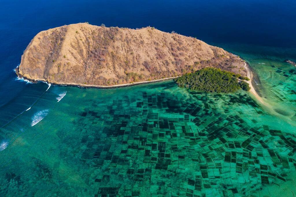 Beach-Front Sumbawa Surf House Lemonga 外观 照片